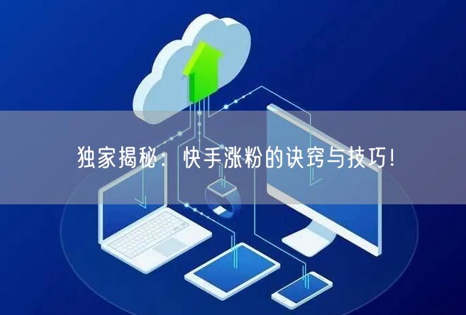 独家揭秘:快手涨粉的诀窍与技巧!